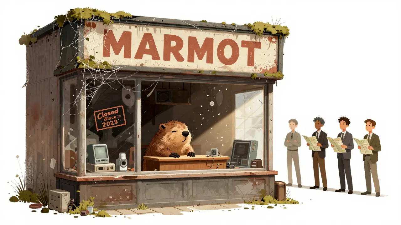 A dusty, abandoned shop window with a sleeping marmot symbolizing a zombie crypto token.